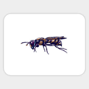 Wasp Bee Insect Illustration Sticker